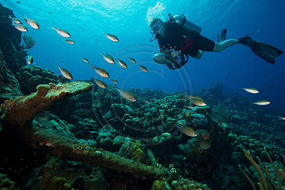 Bonaire Getaway, Bonaire Getaway